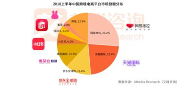 跨境电商实习总结(关于跨境电商的实习总结)