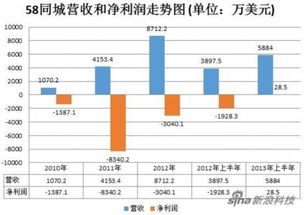 亏损情况说明(企业亏损情况说明)