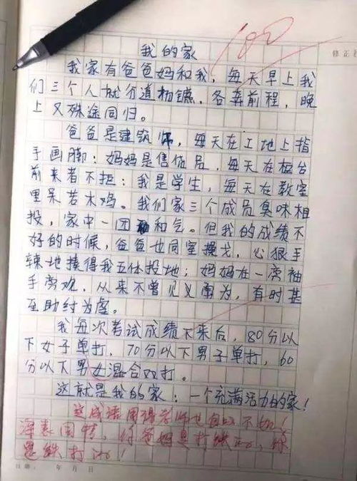 记事作文开头二三十字