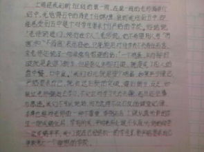 我的新老师同学学校作文开头结尾