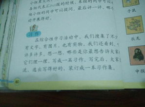 以诗开头的作文格式