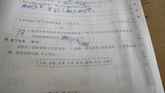 我家的欢乐事的作文600字作文开头