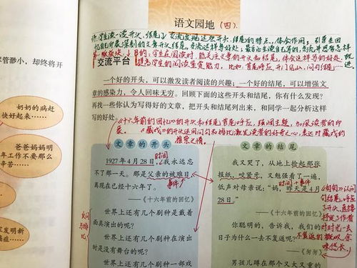 回忆我的同学作文开头结尾