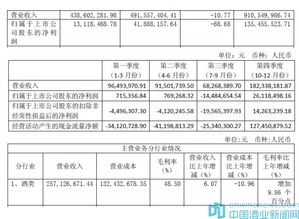 业绩报告(业绩报告格式)