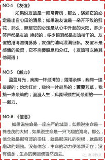 照片里的故事作文开头结尾,照片里的故事作文开头唯美,照片里的故事作文精彩结尾