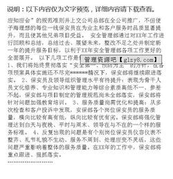 安保工作年度总结报告(安保工作总结报告)