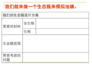 制作生态瓶的作文开头