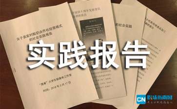 关于综合实践报告(关于综合实践报告的评语)