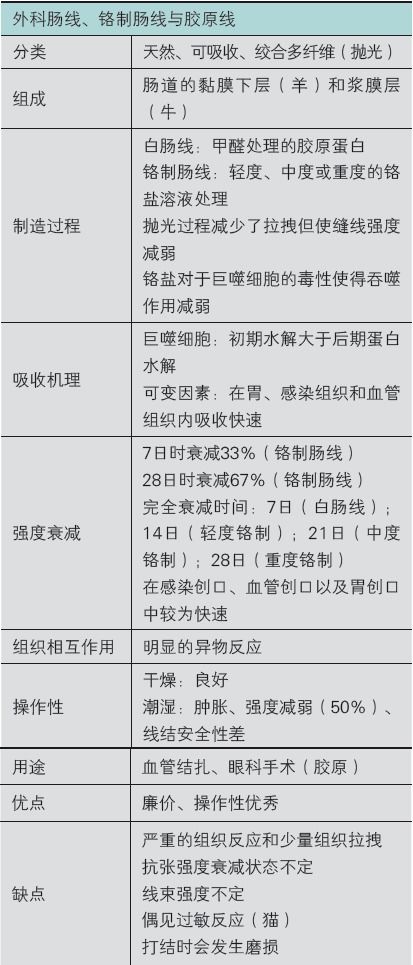 个人优点和缺点总结(个人总结缺点和不足)