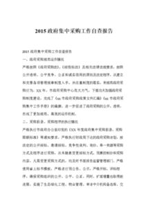 政府集中采购工作的自查总结报告范文(个人自查总结报告)