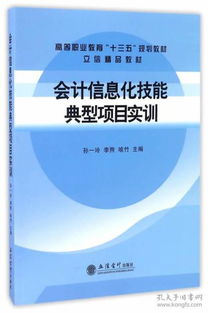 会计职业技能实训报告(会计职业技能实训报告)