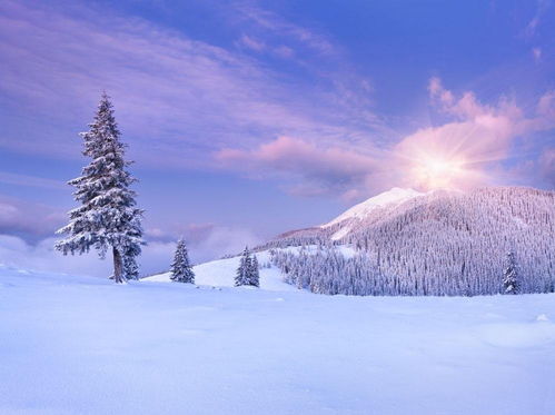 我爱这美丽的雪景作文开头