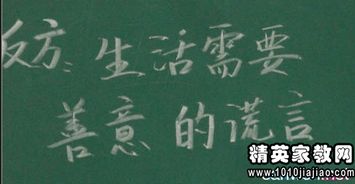 别人对你善意的谎言的作文开头结尾