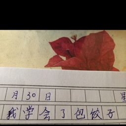 我学会了包饺子作文开头怎么写