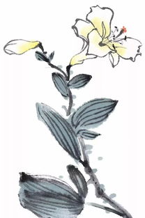 大学写景作文开头