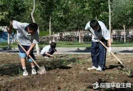 卫生所社会实践报告范文(卫生所社会实践报告范文)