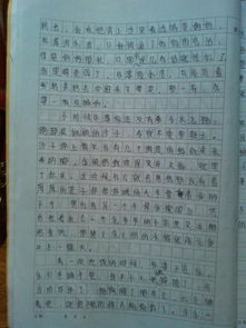 捡拾记忆中的珍珠作文开头600字