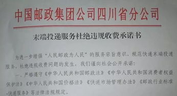 快递公司整改报告范文(单位整改报告格式)