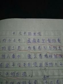 平凡的日子也什么作文600字作文开头