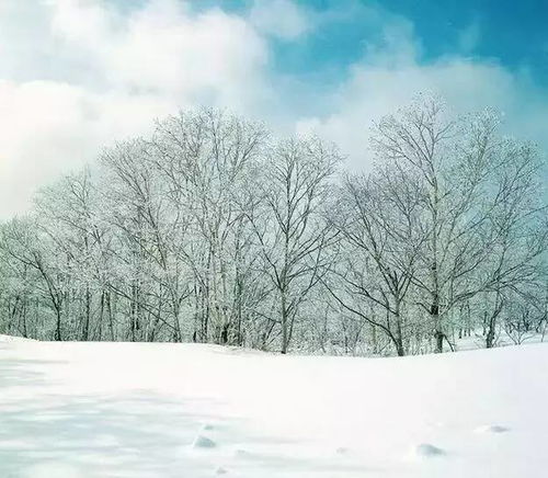 雪景色作文开头结尾