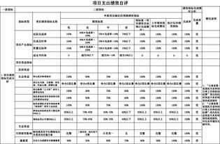 项目绩效自评报告(项目绩效考核自评报告)