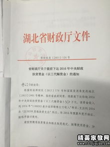 扶贫资金使用自查报告范文(专项资金使用情况自查报告)