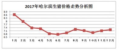 比价报价情况报告(比价报价情况报告)