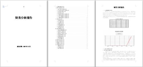 财务分析报告论文(财务分析报告论文)