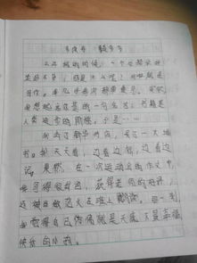 作文两百字开头