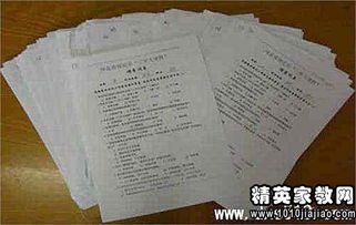 党的社会实践报告例文(党的儿女心得体会例文)