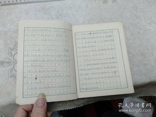 什么了的作文600字作文开头怎么写