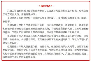 公司文职人员个人总结(公司文职人员试用期满个人总结)