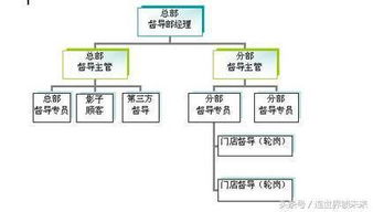 标准化(标准化)