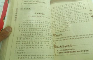 好的开头作文100字左右