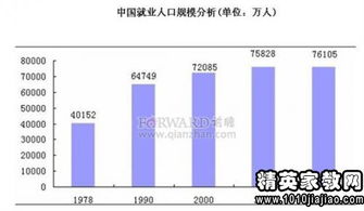 劳务派遣调研报告(开展劳务派遣专项活动调研报告)