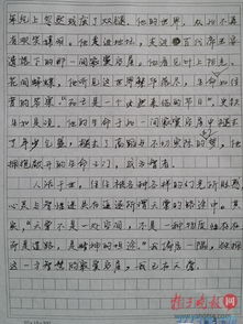 什么作文开头是最好的