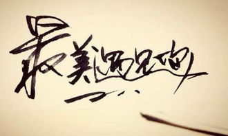 最美丽的相遇记叙作文600字作文开头