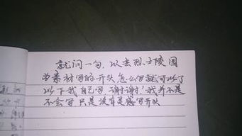 这一天让我铭记作文1000字作文开头