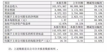 财务运营情况说明(财务年报情况说明)