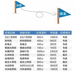 品牌市场调研报告(品牌市场调研报告)