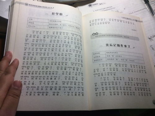 我的名字的秘密作文开头