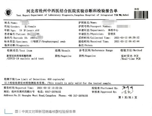 核酸检测报告英文 (进行核酸检测英文 )