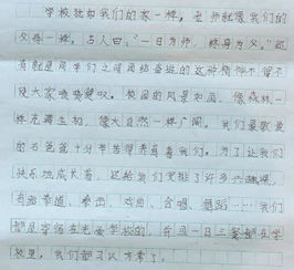 小学我爱学校生活的作文开头结尾怎么写