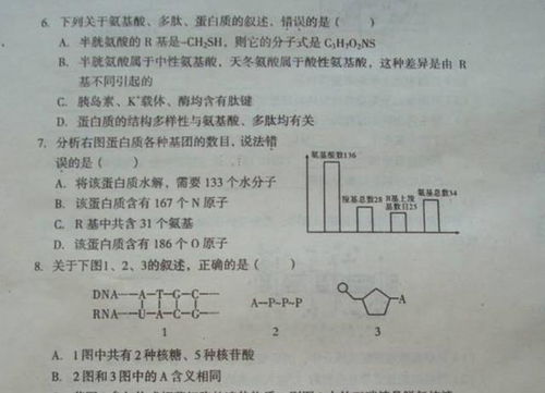 对我影响最深的那个人作文开头