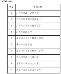 有关学校校服采购情况的调查报告(有关学校校服采购情况的调查报告)