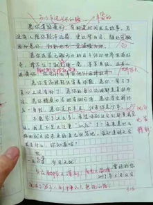 关于初一新学校新老师的作文开头结尾