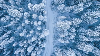 晚来的雪(晚雪)