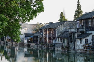 春游千灯古镇作文开头