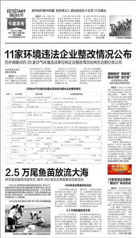 环境违法整改报告(工程违法转包整改报告)