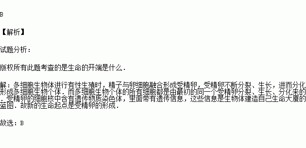 时间就是生命作文开头